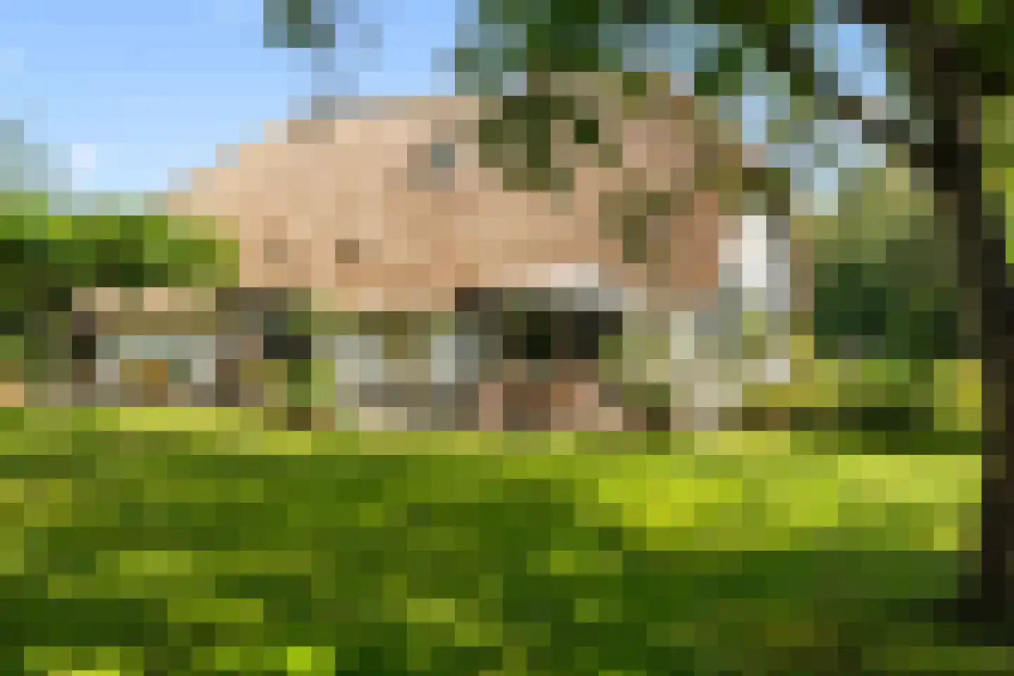 Dunenkamperweg 16 Stroe thumbnail 41