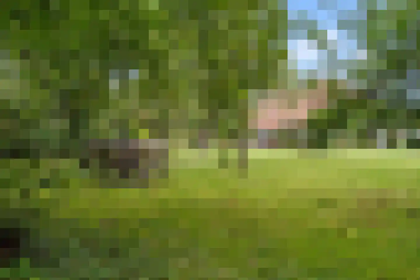 Dunenkamperweg 16 Stroe thumbnail 42
