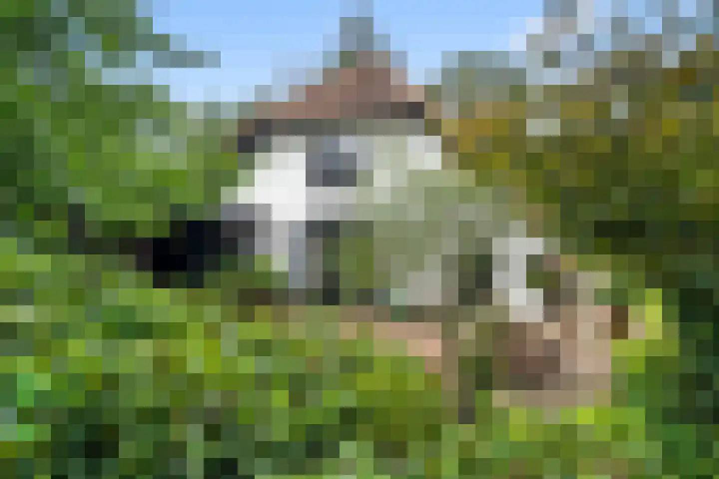 Dunenkamperweg 16 Stroe thumbnail 48