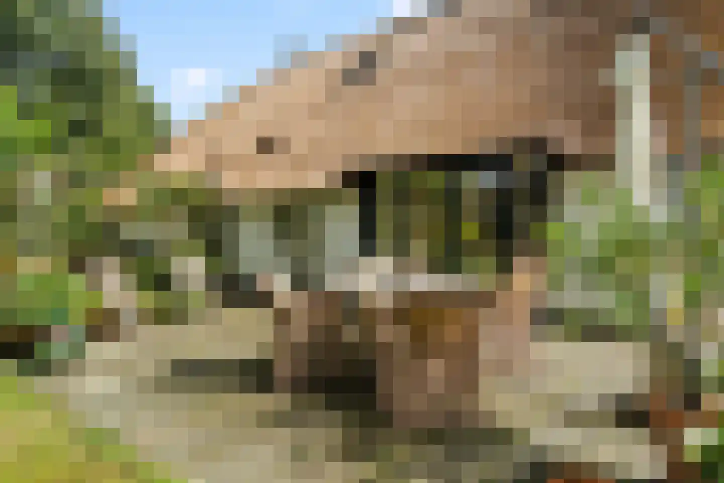 Dunenkamperweg 16 Stroe thumbnail 5