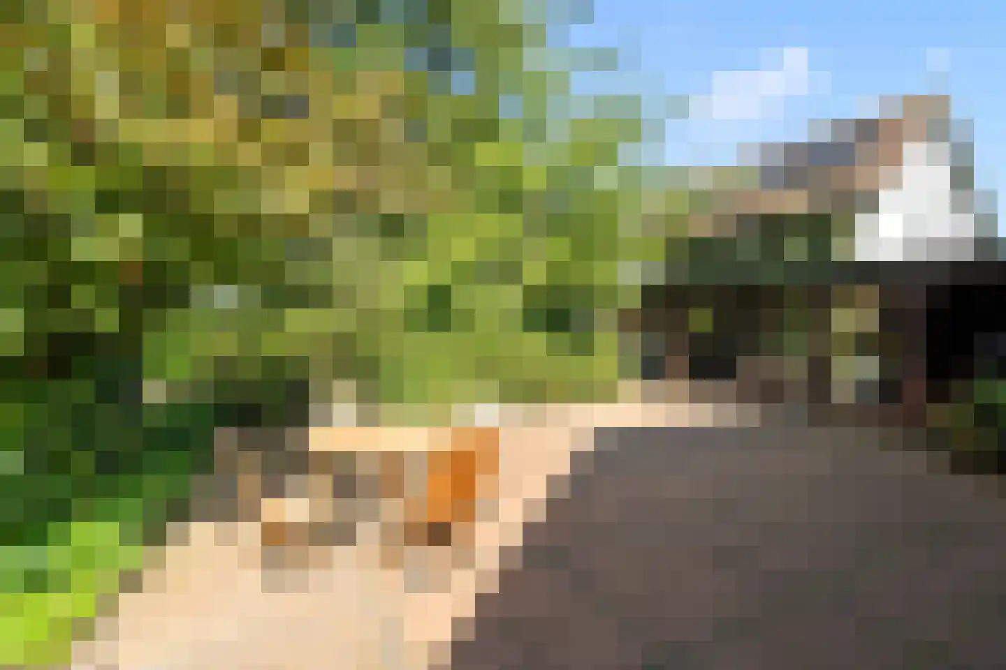 Dunenkamperweg 16 Stroe thumbnail 53