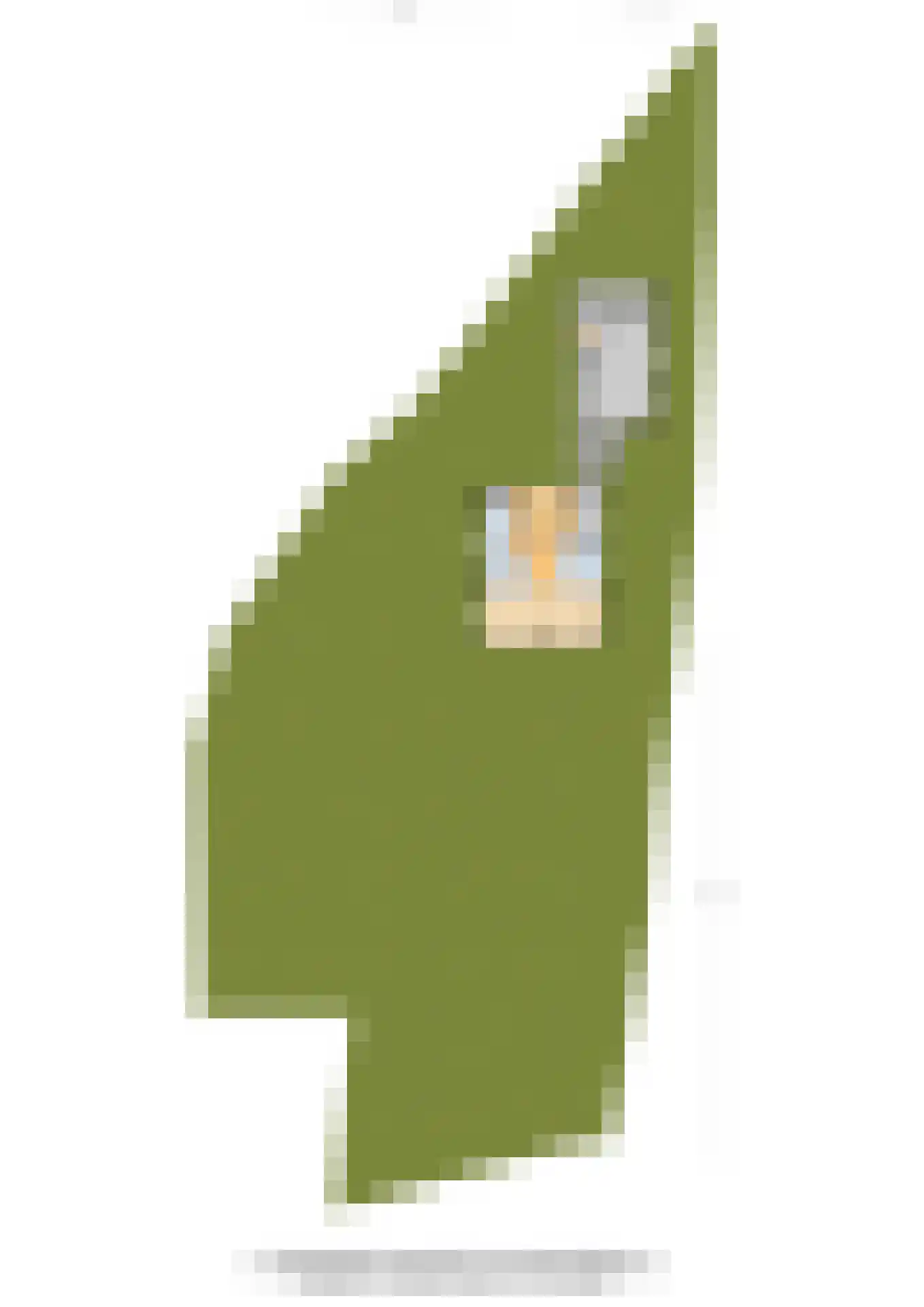 Dunenkamperweg 16 Stroe thumbnail 61