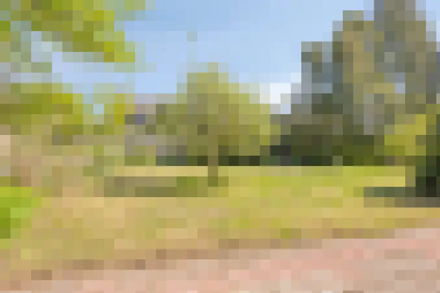 Dungense Kant 2 Nuenen thumbnail 17