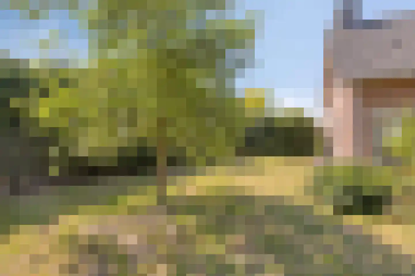 Dungense Kant 2 Nuenen thumbnail 18
