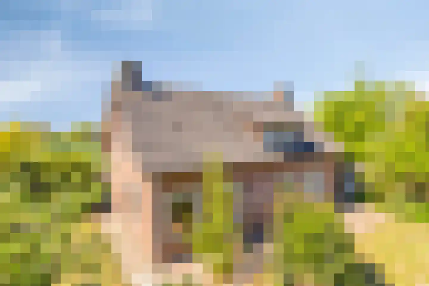 Dungense Kant 2 Nuenen foto 2