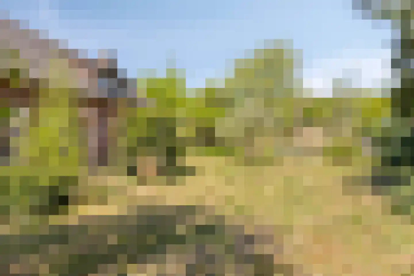 Dungense Kant 2 Nuenen thumbnail 20
