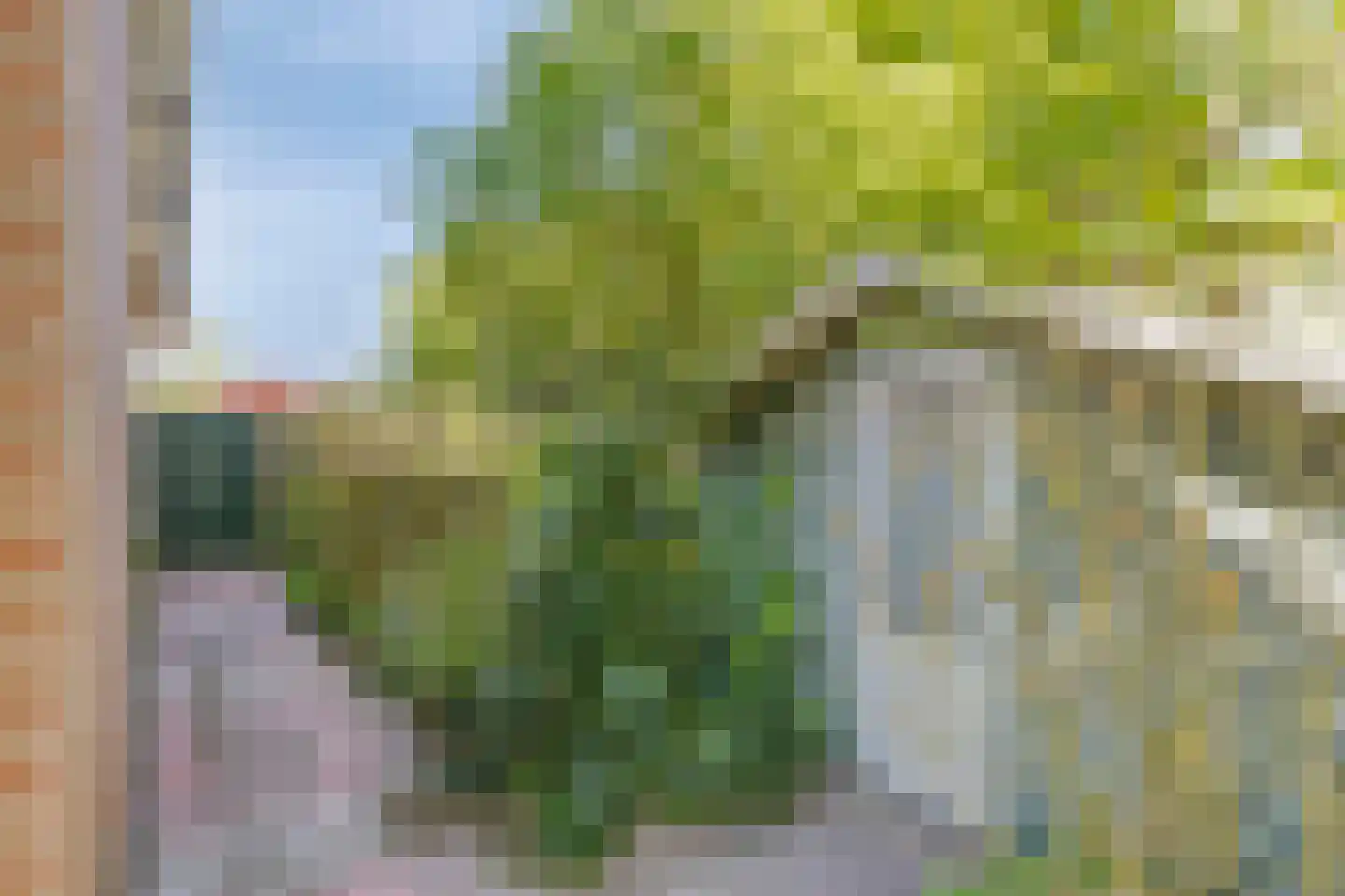 Dungense Kant 2 Nuenen thumbnail 21