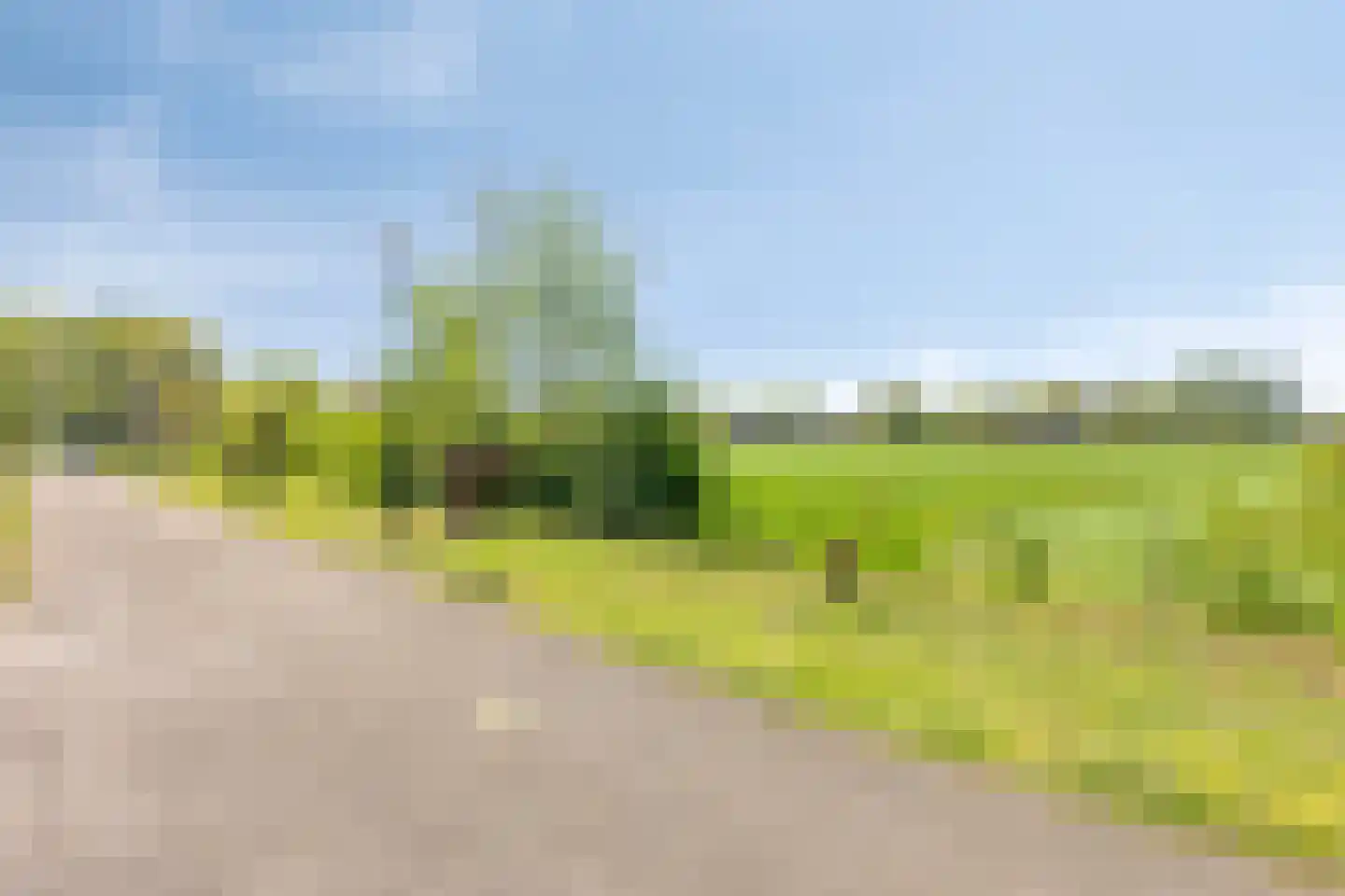 Dungense Kant 2 Nuenen thumbnail 24