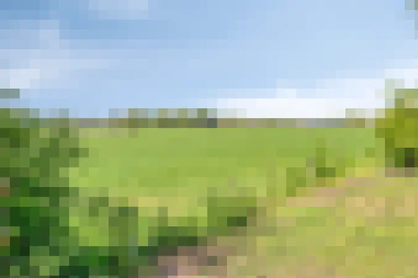 Dungense Kant 2 Nuenen thumbnail 25