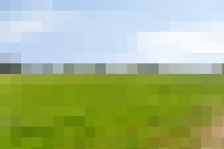Dungense Kant 8 Nuenen thumbnail 10
