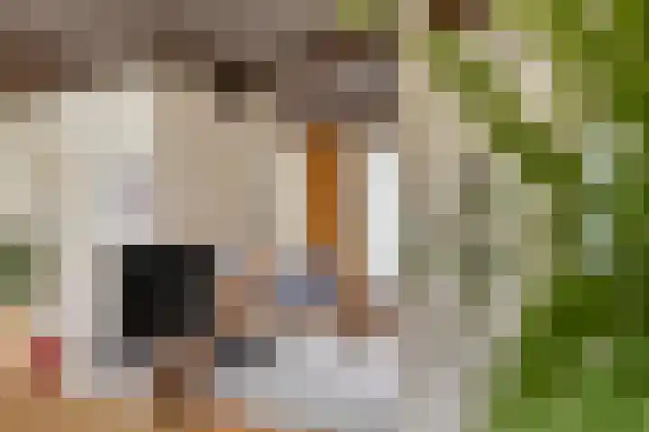Dungense Kant 8 Nuenen thumbnail 12