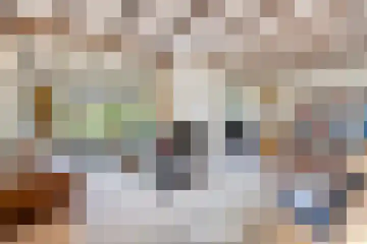 Dungense Kant 8 Nuenen thumbnail 16
