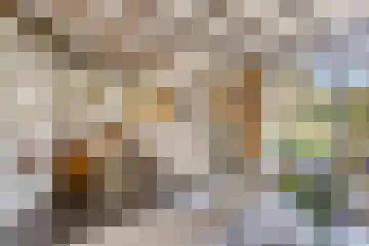 Dungense Kant 8 Nuenen thumbnail 21