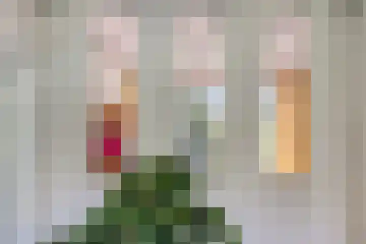 Dungense Kant 8 Nuenen thumbnail 23