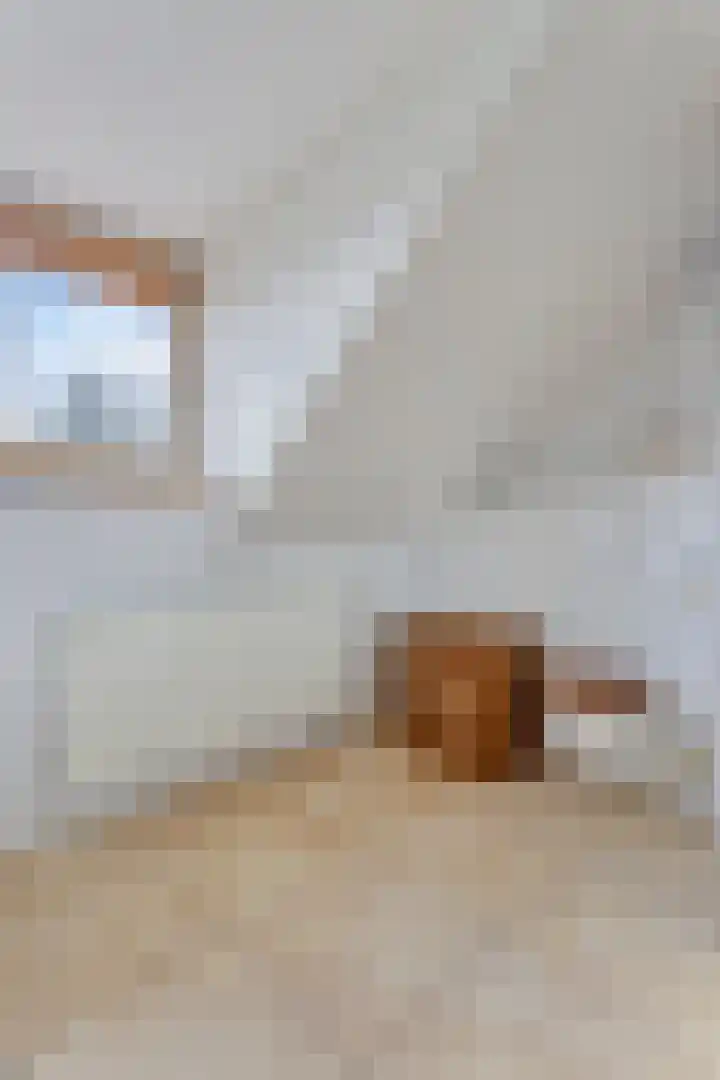 Dungense Kant 8 Nuenen thumbnail 43