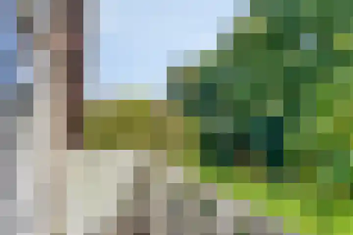 Dungense Kant 8 Nuenen thumbnail 44