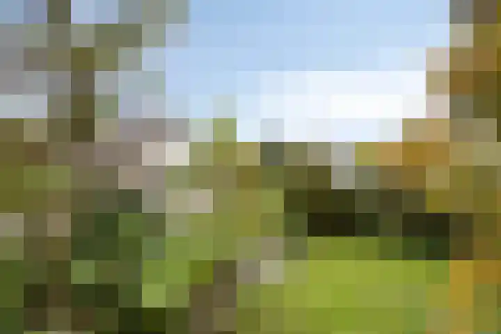 Dungense Kant 8 Nuenen thumbnail 46