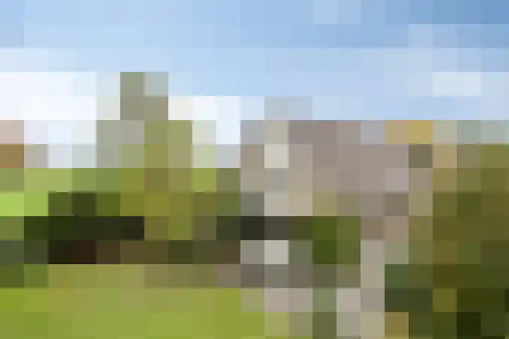 Dungense Kant 8 Nuenen thumbnail 47