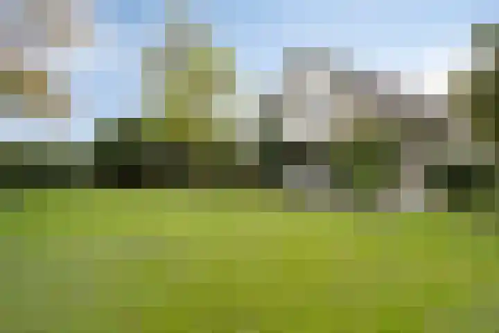 Dungense Kant 8 Nuenen thumbnail 48