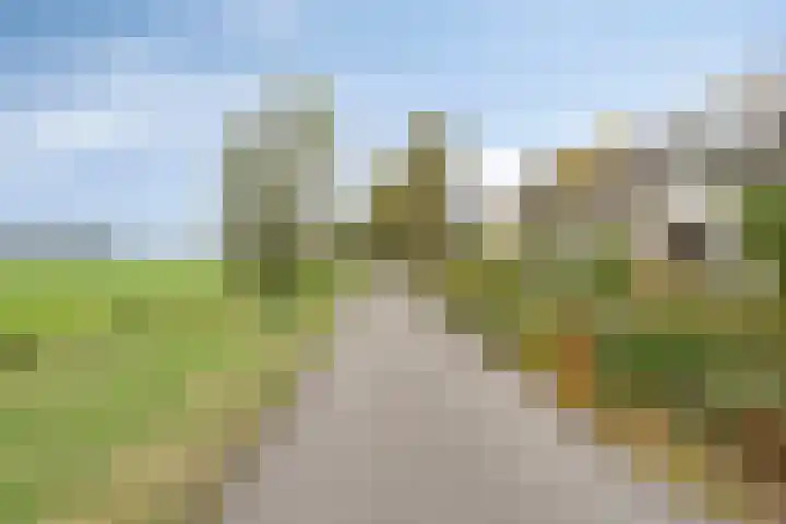 Dungense Kant 8 Nuenen thumbnail 7