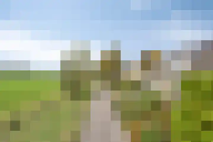 Dungense Kant 8 Nuenen thumbnail 8