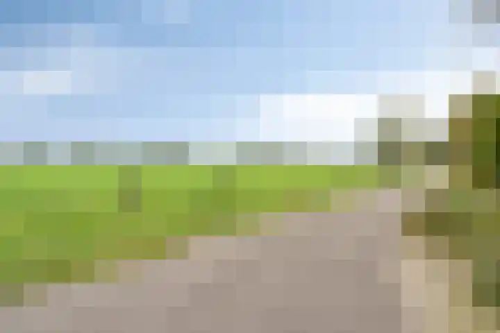 Dungense Kant 8 Nuenen thumbnail 9