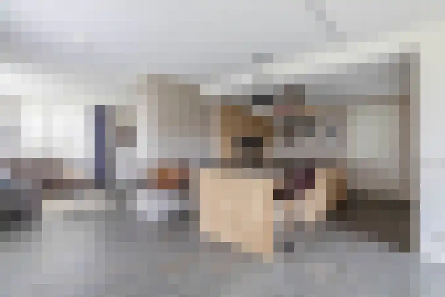 Dungensesteeg 10 Schijndel thumbnail 11