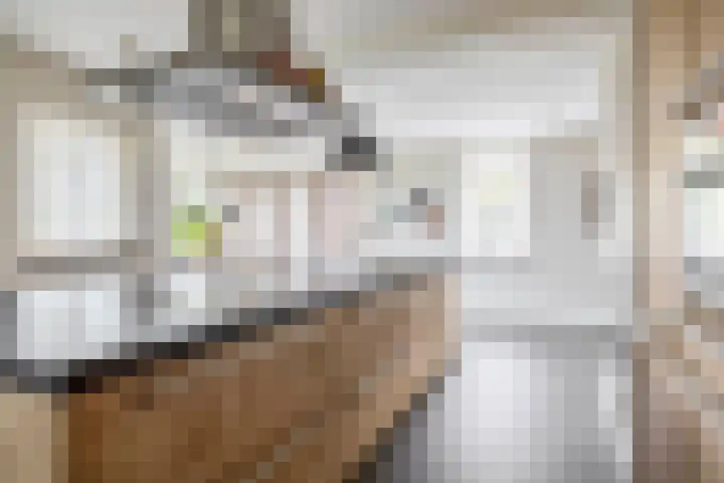 Dungensesteeg 10 Schijndel thumbnail 13