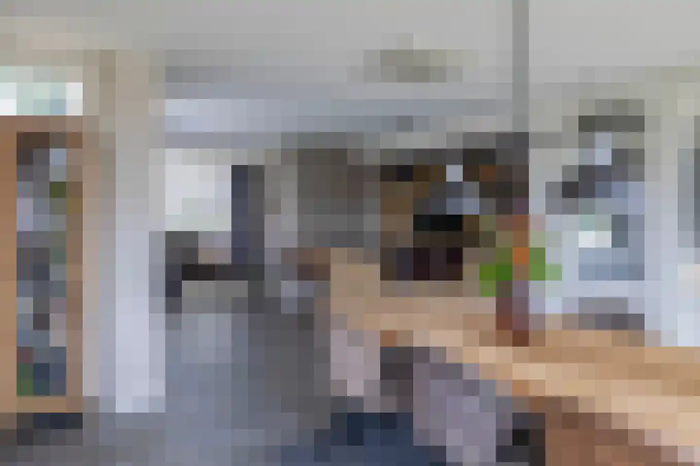 Dungensesteeg 10 Schijndel thumbnail 14
