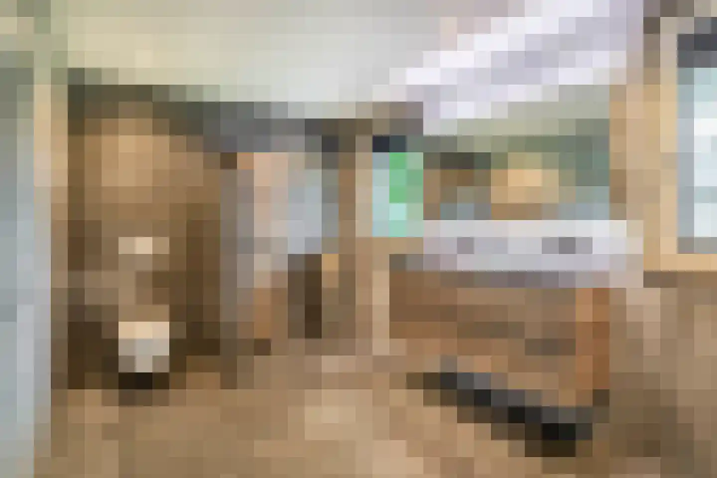 Dungensesteeg 10 Schijndel thumbnail 19