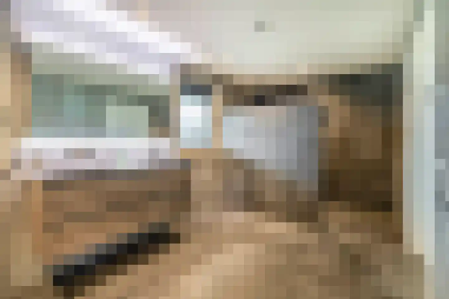 Dungensesteeg 10 Schijndel thumbnail 20