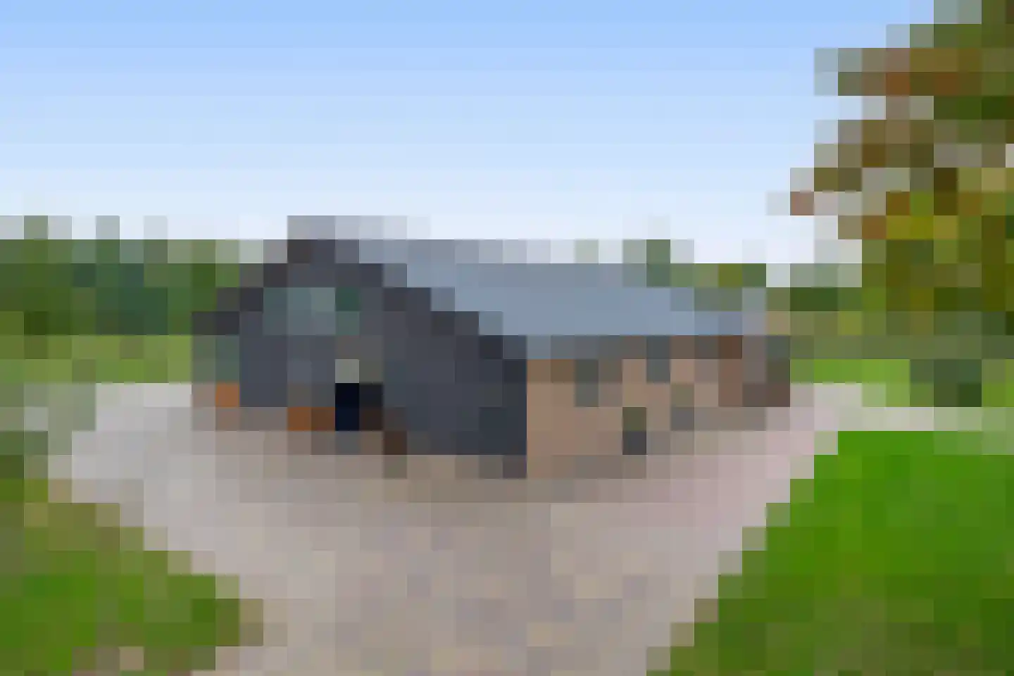 Dungensesteeg 10 Schijndel thumbnail 30