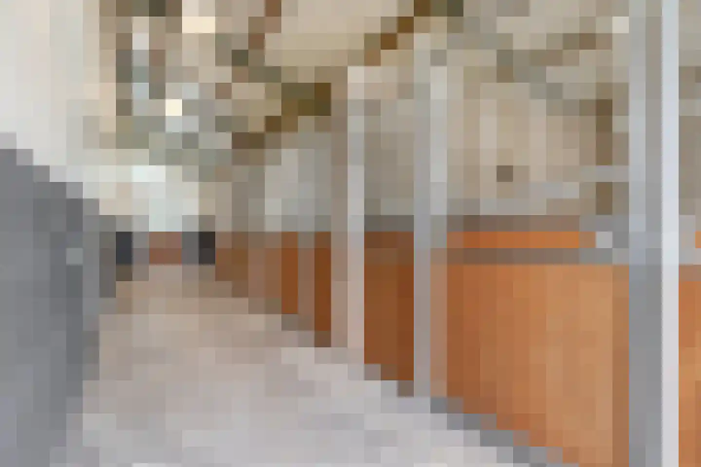 Dungensesteeg 10 Schijndel thumbnail 35