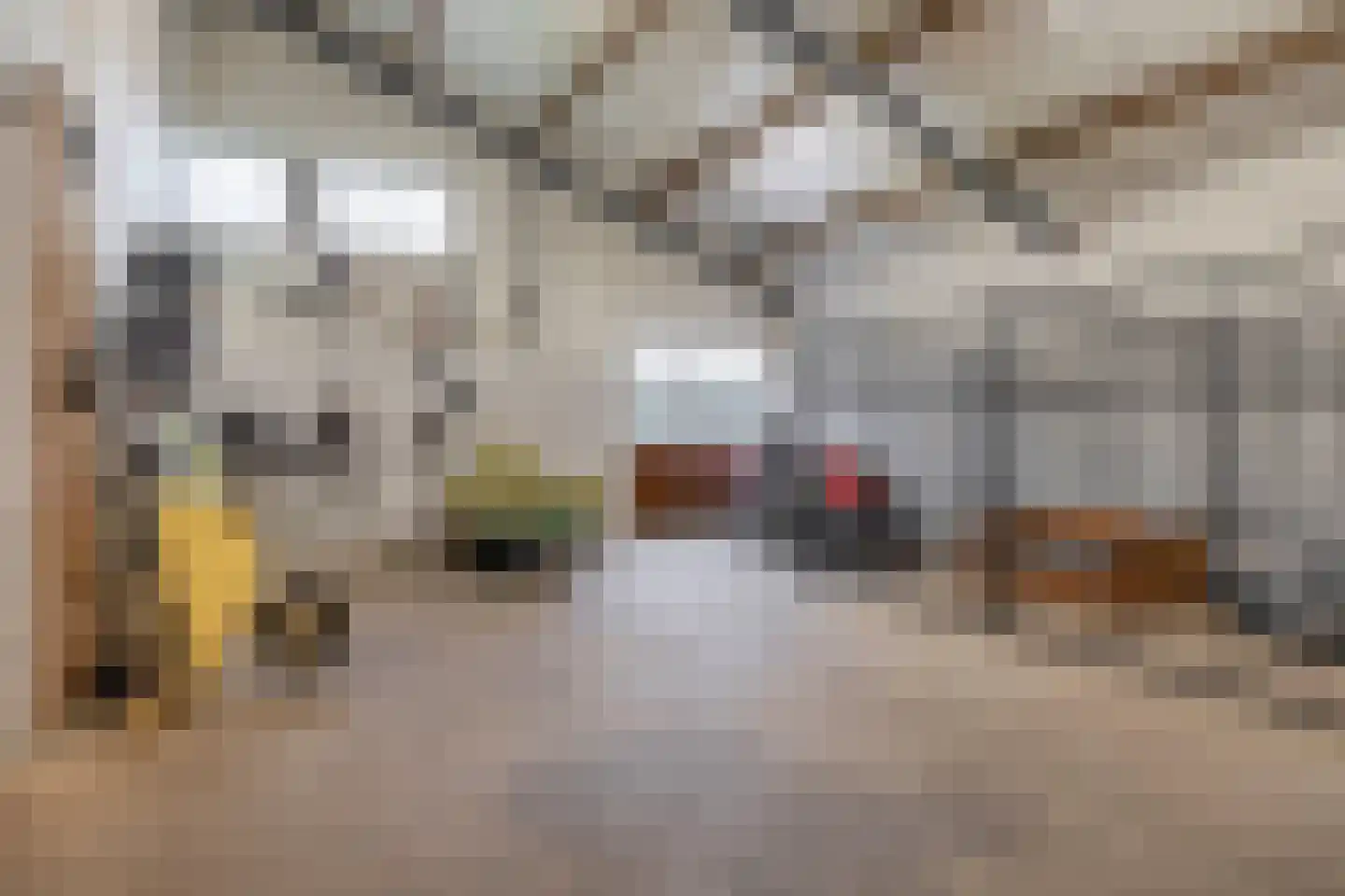 Dungensesteeg 10 Schijndel thumbnail 36