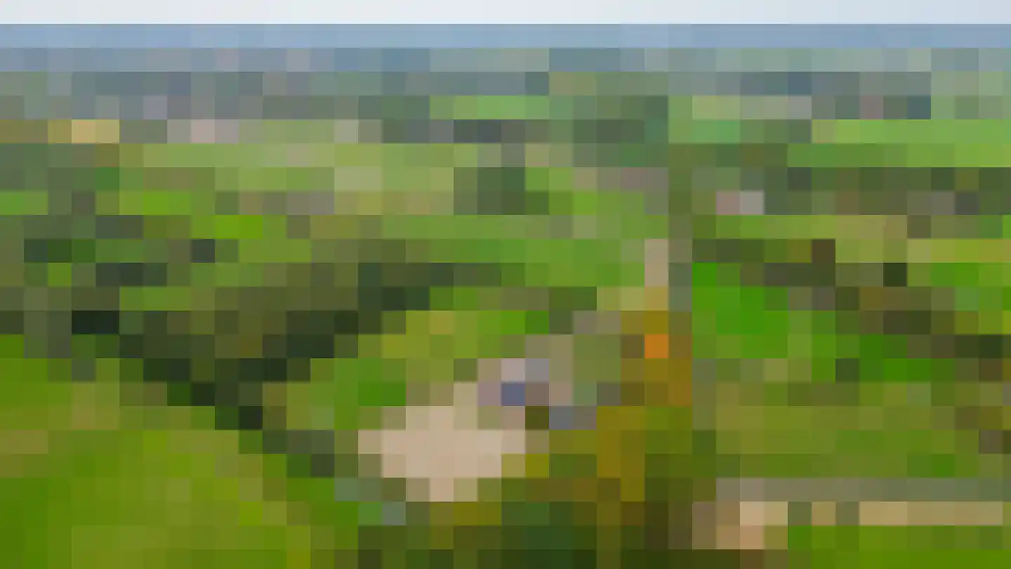 Dungensesteeg 10 Schijndel thumbnail 38
