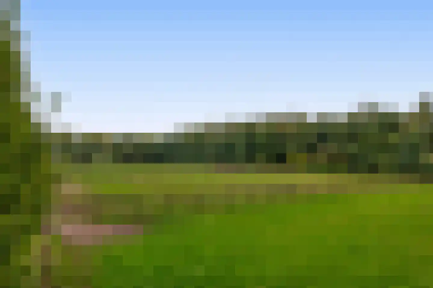 Dungensesteeg 10 Schijndel thumbnail 40