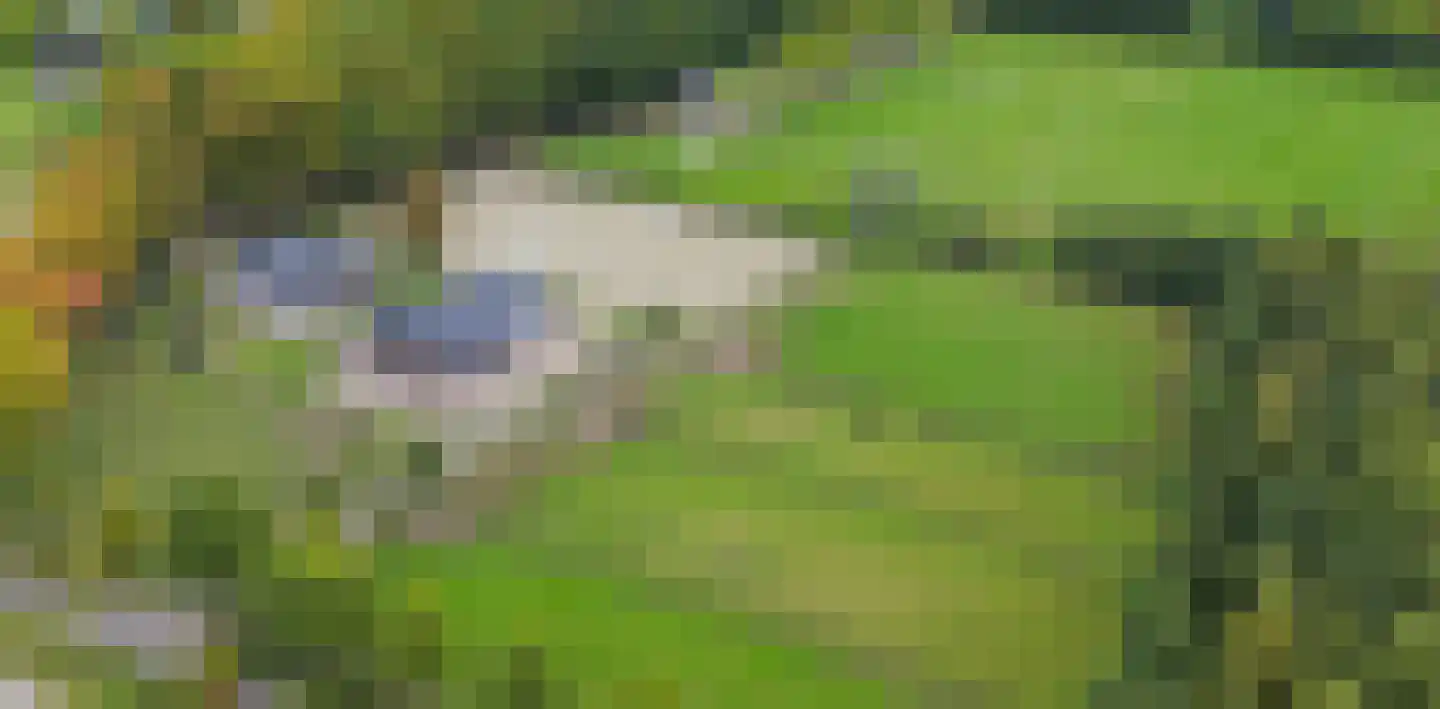 Dungensesteeg 10 Schijndel thumbnail 7