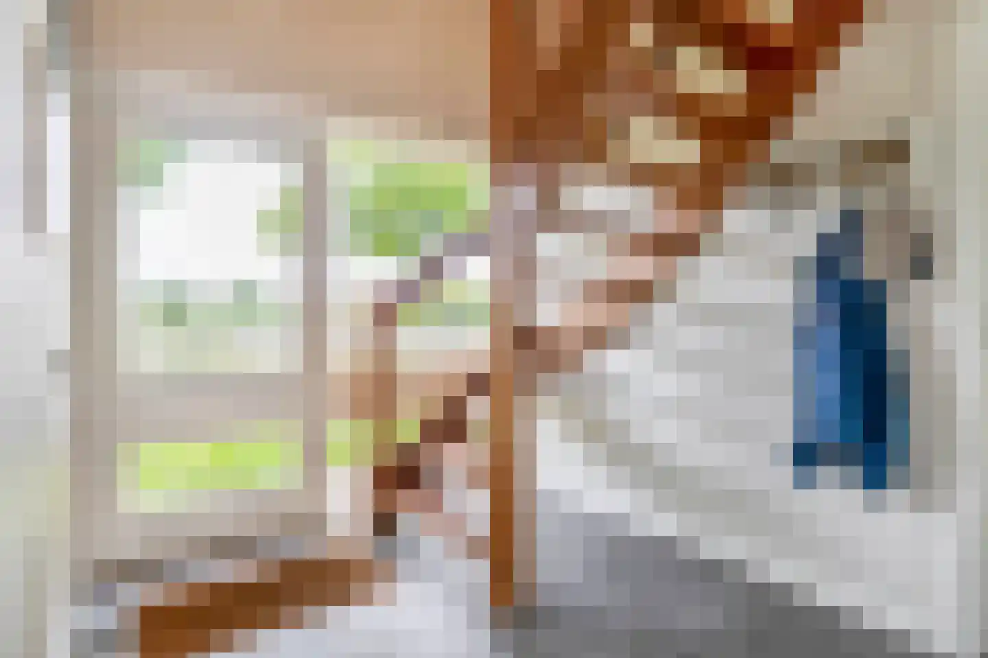 Dungensesteeg 10 Schijndel thumbnail 8