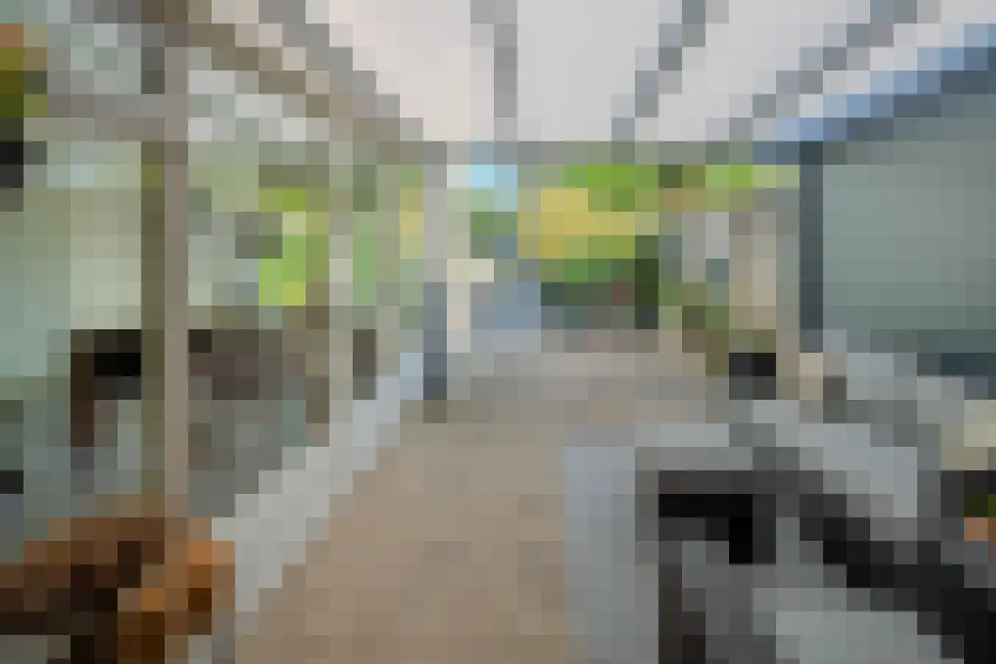 Dunhei 1 Veldhoven thumbnail 19