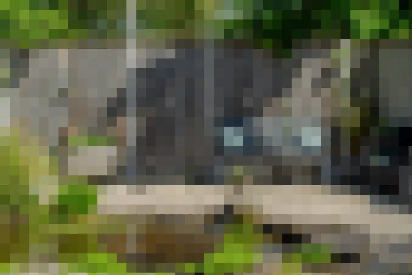 Dunhei 1 Veldhoven thumbnail 23