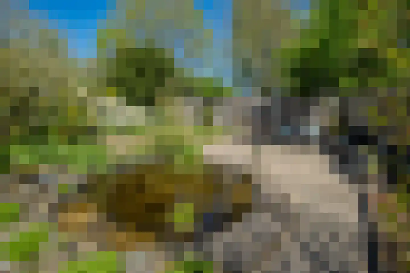Dunhei 1 Veldhoven thumbnail 27