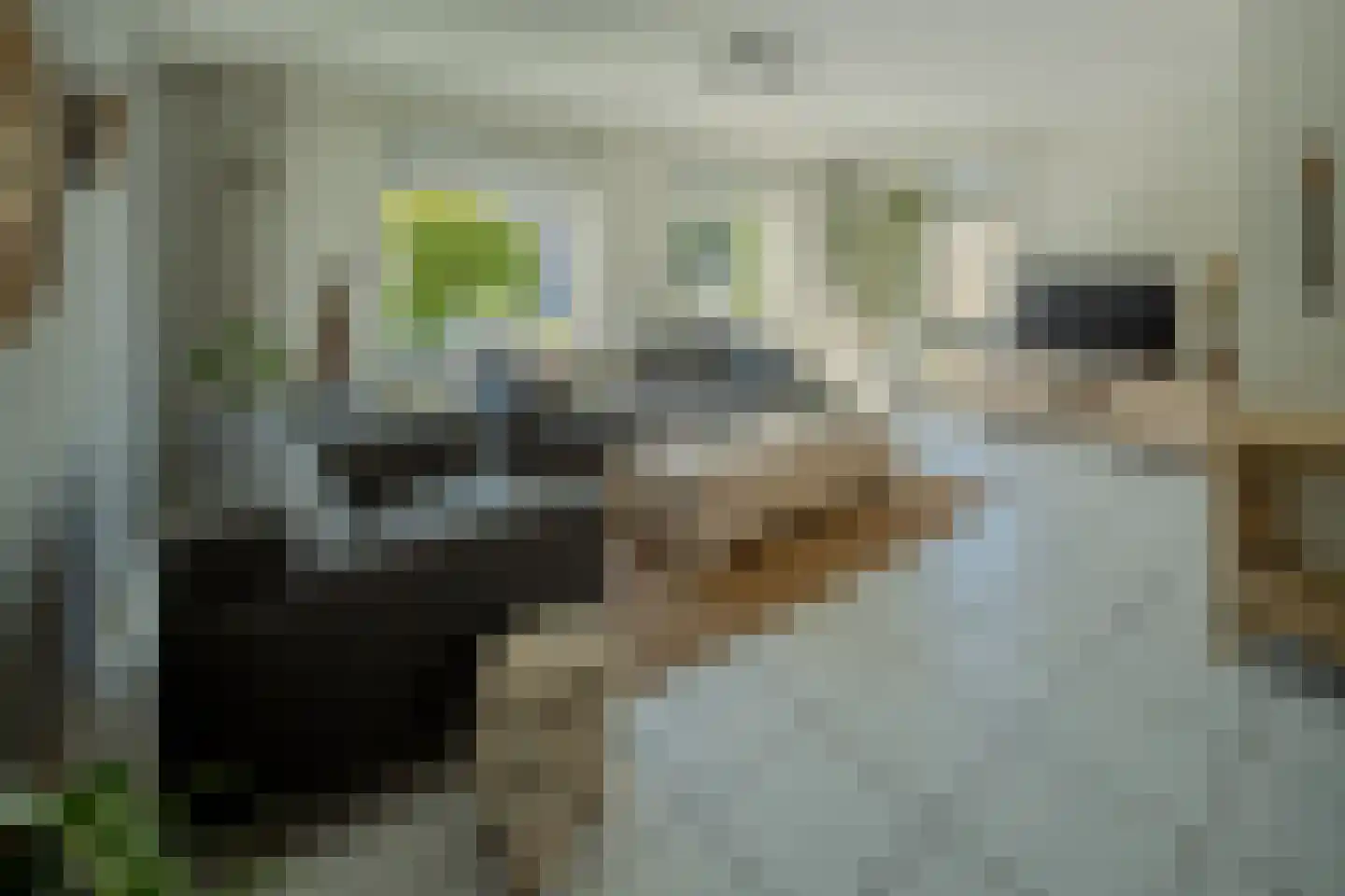 Dunhei 1 Veldhoven foto 3