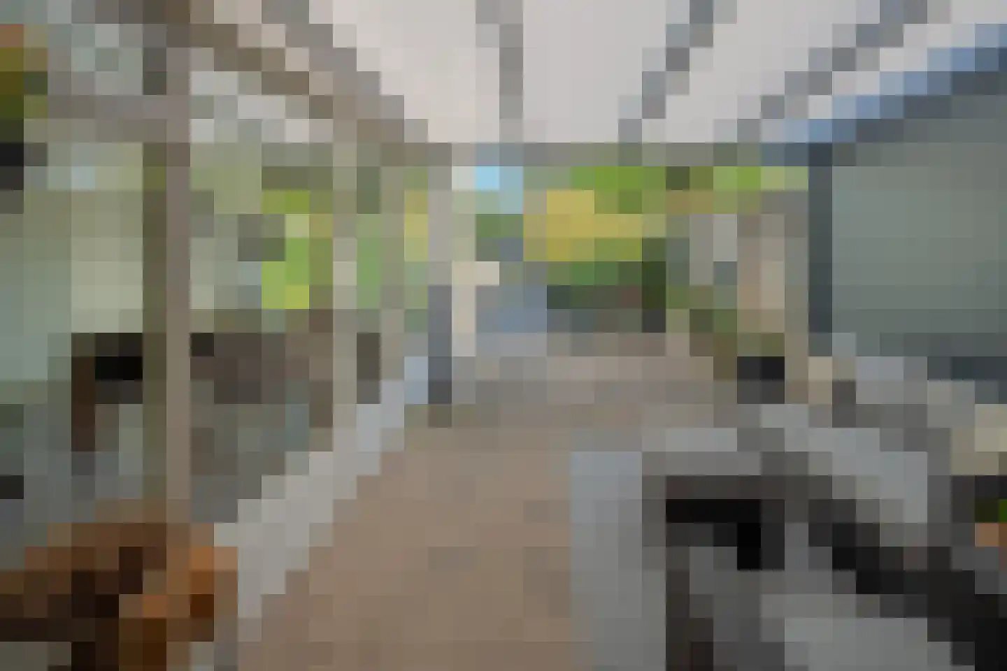 Dunhei 1 Veldhoven thumbnail 5