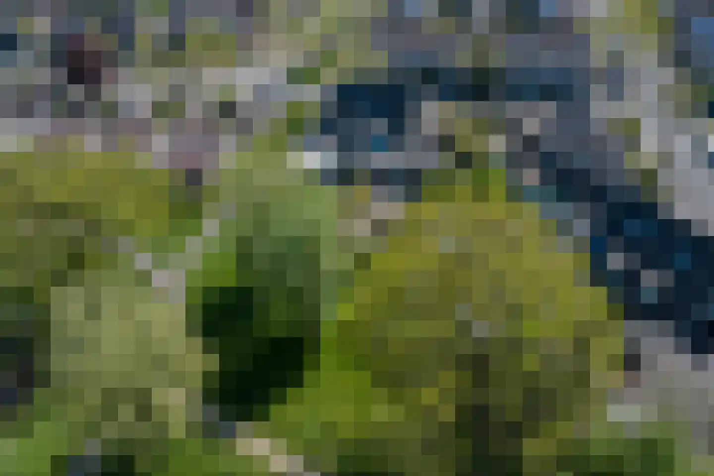 Dunhei 1 Veldhoven thumbnail 7