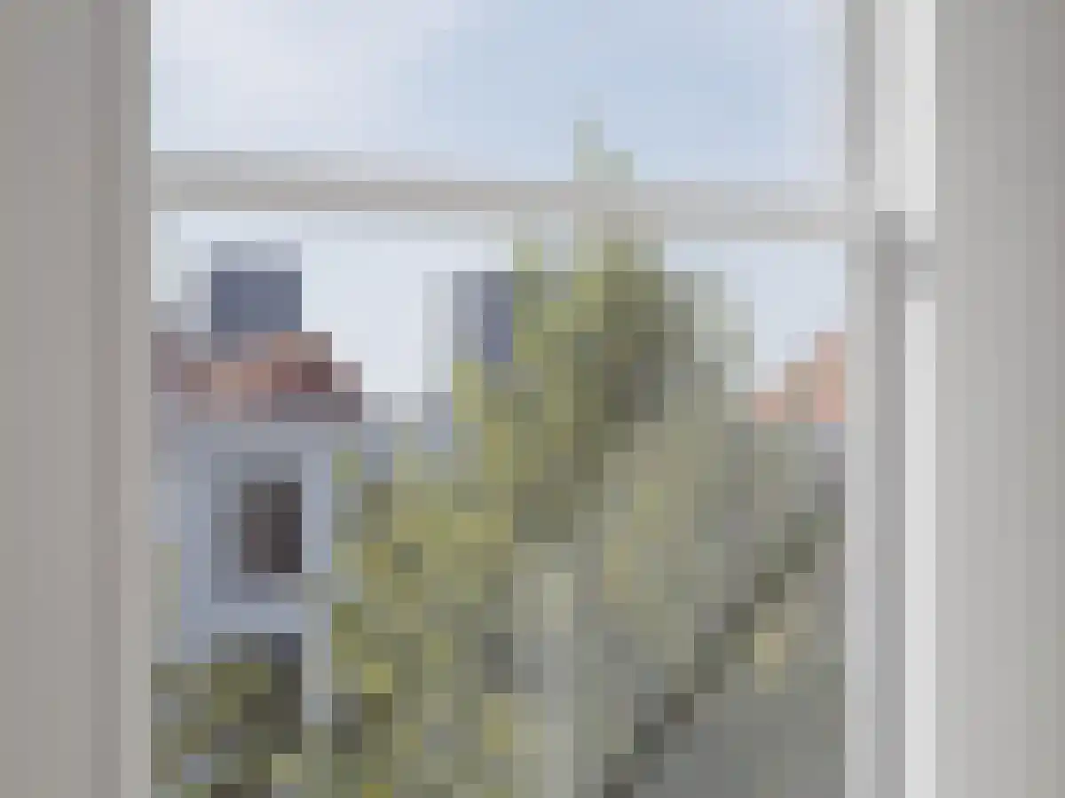 Dunne Bierkade 14 Den Haag thumbnail 6