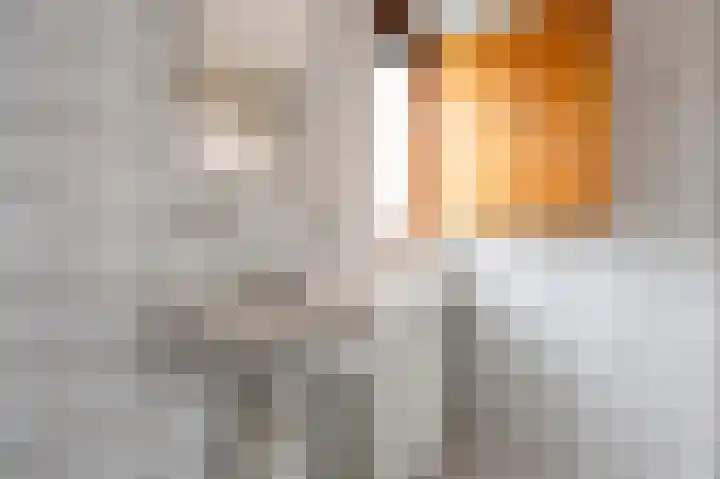 Dunningehof 11 Emmen thumbnail 17