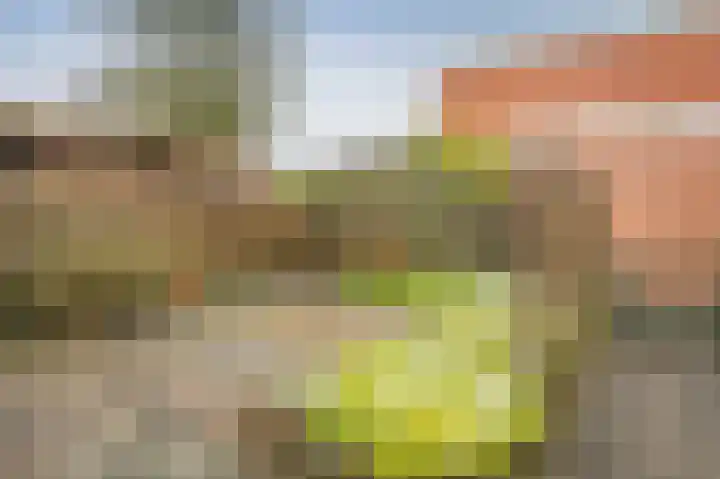 Dunningehof 11 Emmen thumbnail 22