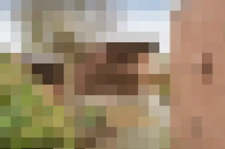 Dunningehof 11 Emmen thumbnail 27