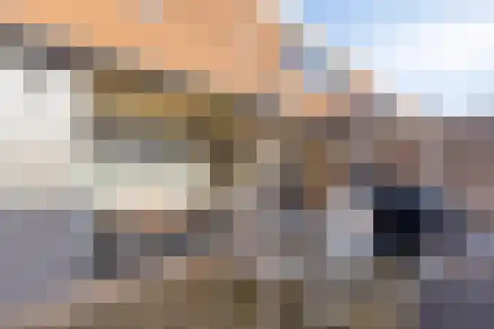 Dunningehof 23 Emmen thumbnail 25