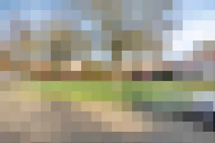 Dunningehof 23 Emmen thumbnail 30